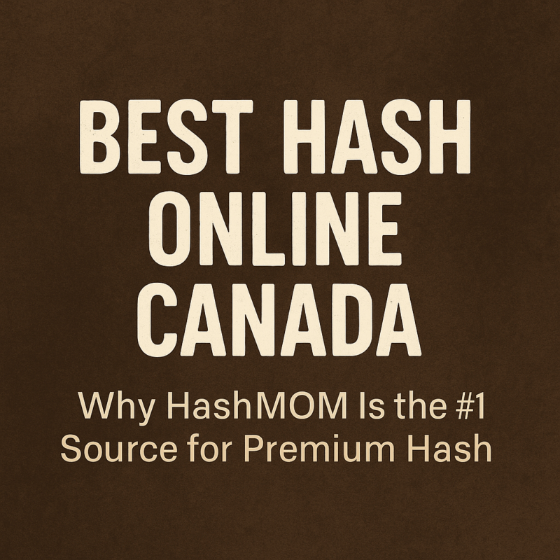 Best Hash Online Canada: Why HashMOM Is the #1 Source for Premium Hash