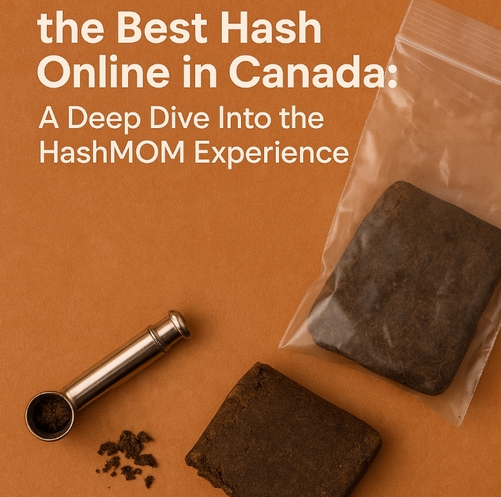 Where to Find the Best Hash Online in Canada: A Deep Dive Into the HashMOM Experience