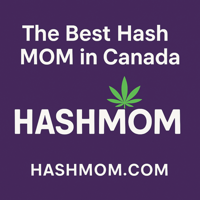 The Best Hash MOM in Canada: Why HashMOM Leads the Pack
