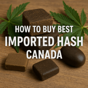 Imported hash bricks with cannabis leaves and blog title “How to Buy Best Imported Hash Canada.”