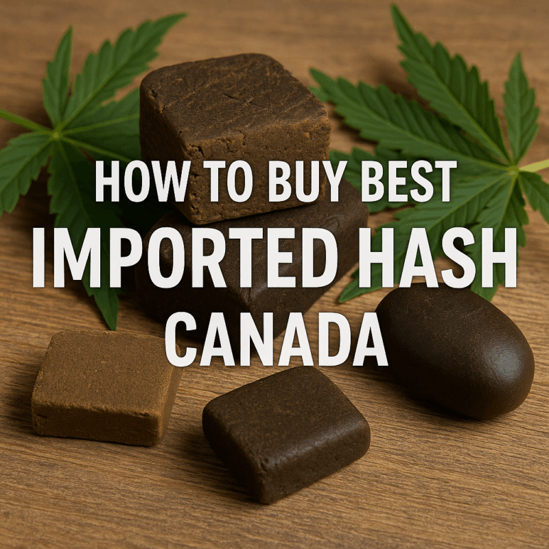 How to Buy Best Imported Hash Canada