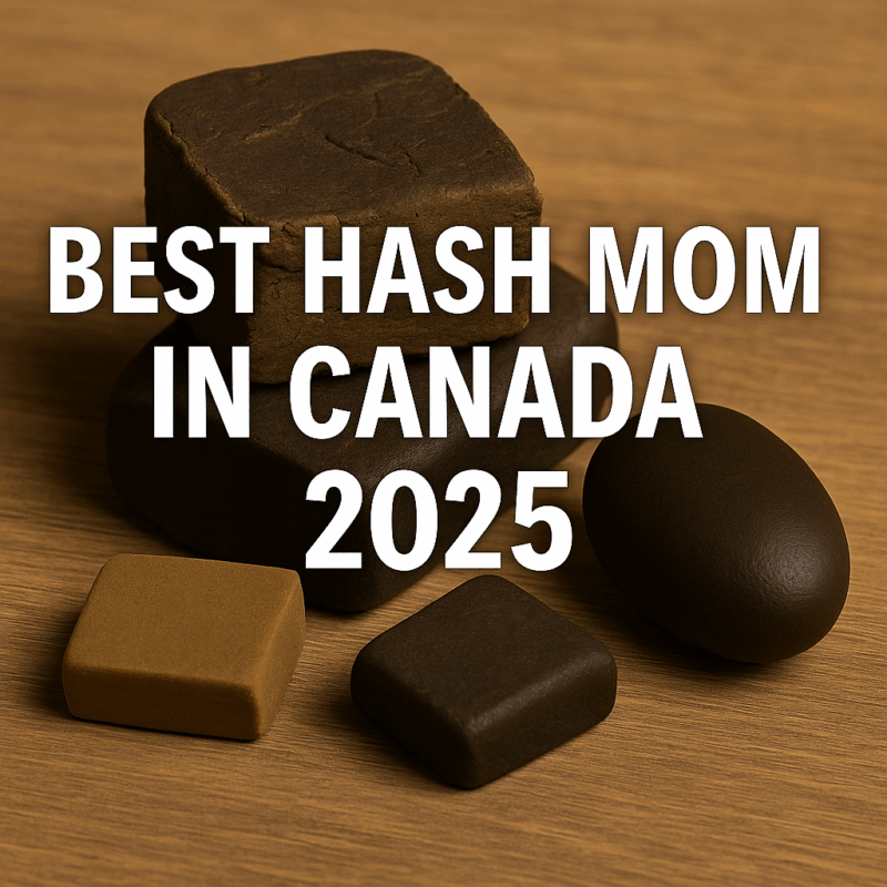 Best Hash MOM in Canada 2025