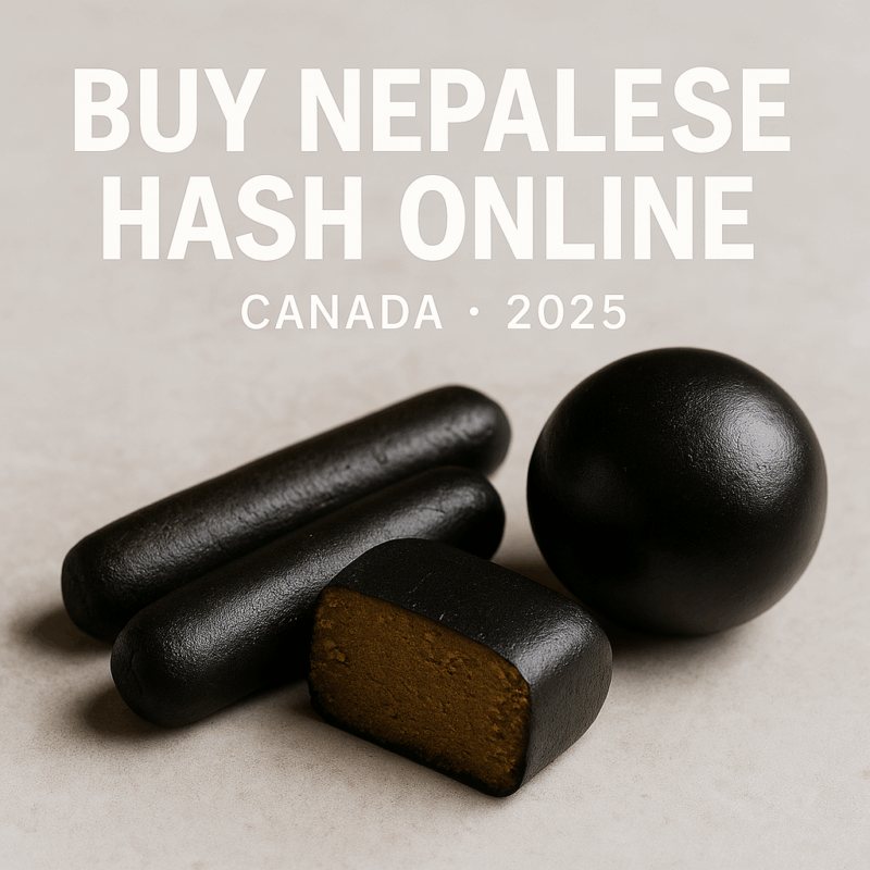 Buy Nepalese Hash Online (Canada)