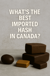 Assorted hashish products arranged neatly on white tiles for a Canadian import feature
