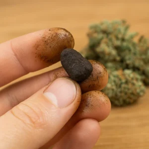 pea-sized piece of finger hash pinched between fingertips with a cannabis bud blurred in the background