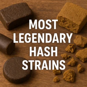 selection of legendary hash strains on wooden surface—round and rectangular presses with blond crumbly pieces scattered