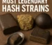 assorted legendary hash styles—a dark Afghan brick, blond crumbly piece, glossy temple ball, pressed slab, and a spoon sample—on brown backdrop