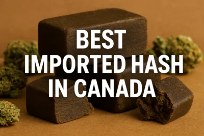 stacked imported hash bricks with buds in background and text reading “Best Imported Hash in Canada”