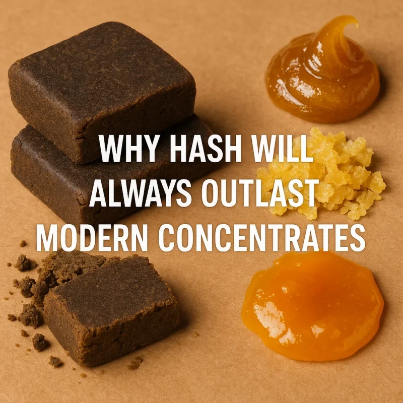 Why Hash Will Always Outlast Modern Concentrates