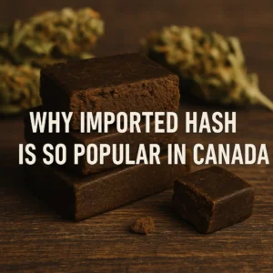 Dark brown blocks of pressed imported hash stacked on a wooden table with cannabis buds in the background, illustrating why imported hash is so popular in Canada.