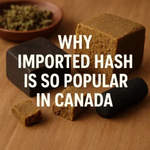 Different shades of imported hash blocks and rolls on a light wooden surface, showing Moroccan and Afghani styles popular in Canada.