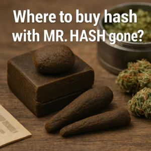 Block and rolled pieces of dark hash with cannabis buds on a wooden surface, representing where to buy hash after Mr. Hash closed.