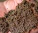 Hand holding soft, dark brown imported Afghan hash with a moist, resin-rich texture