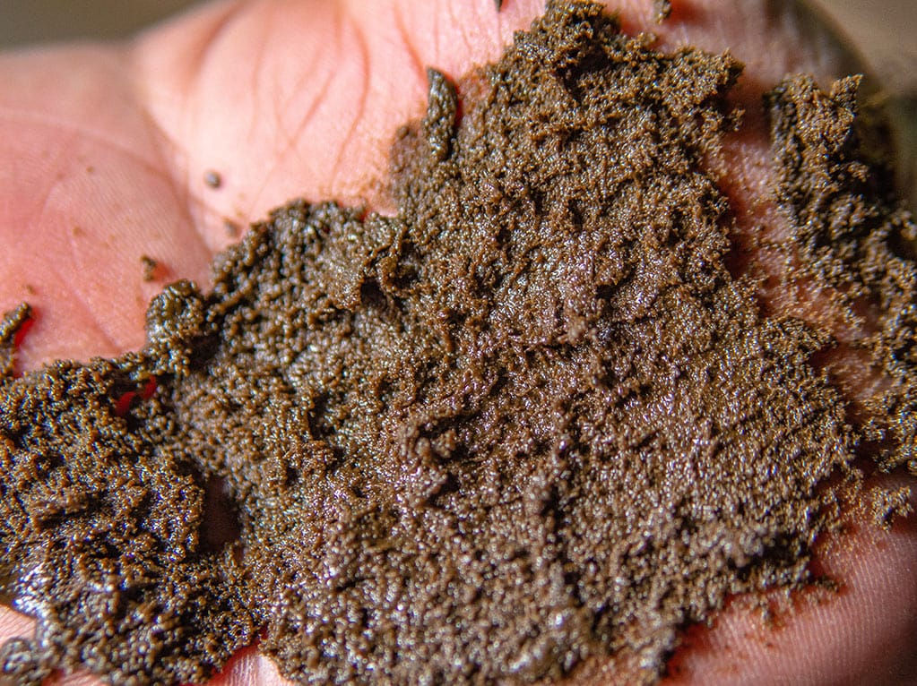 Traditional hand rolled Afghan hashish snake