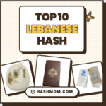 Top 10 Lebanese Hash List